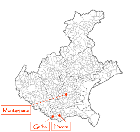 Presenze in Veneto